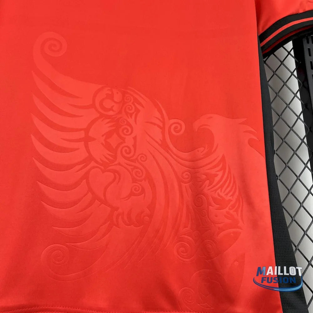 Maillot Albanie 2025
