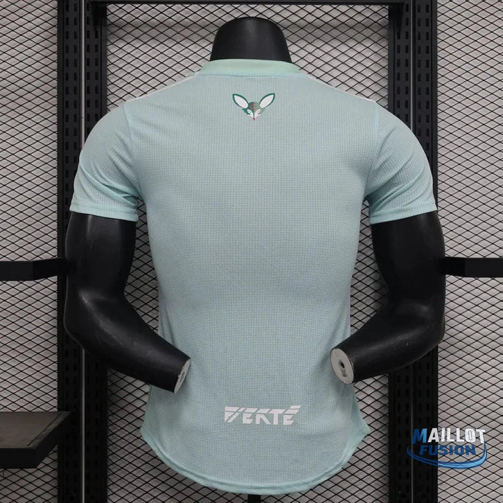 Maillot Algérie foot Concept 2024 2025