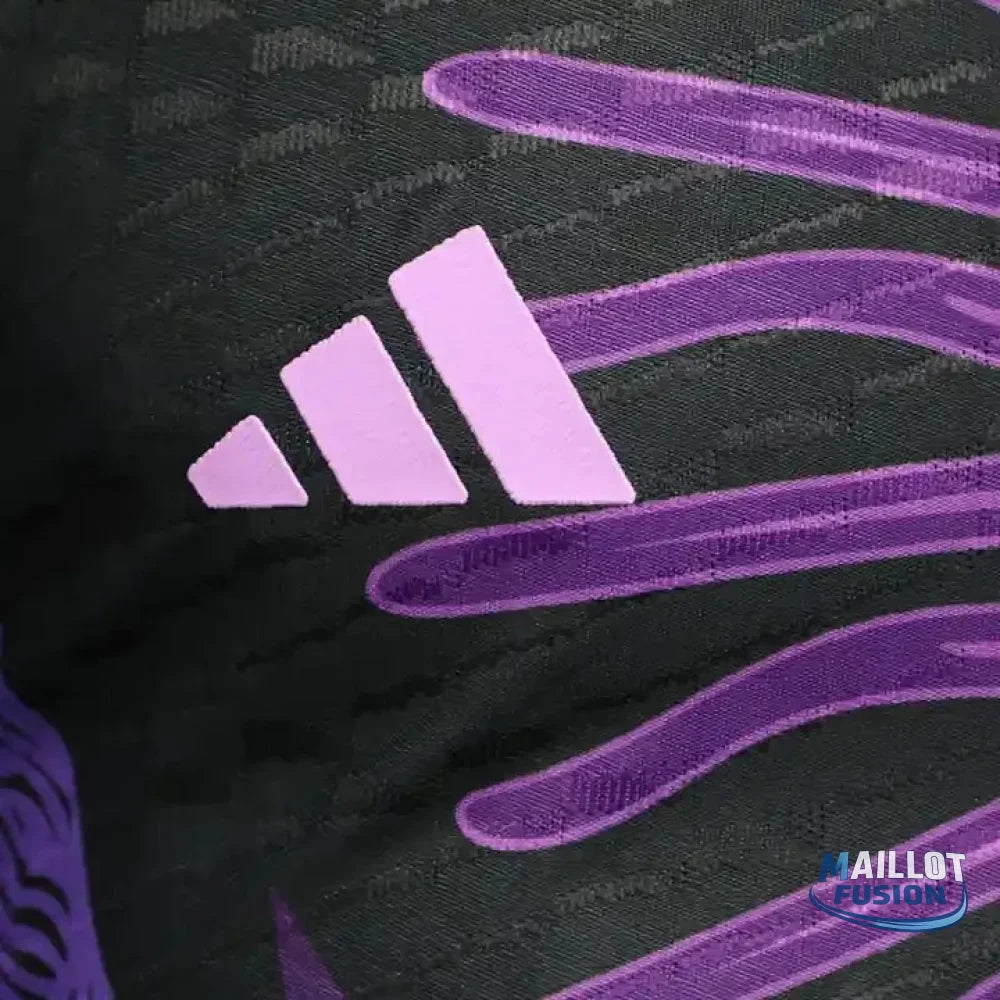 Maillot Argentine Concept 2023 2024