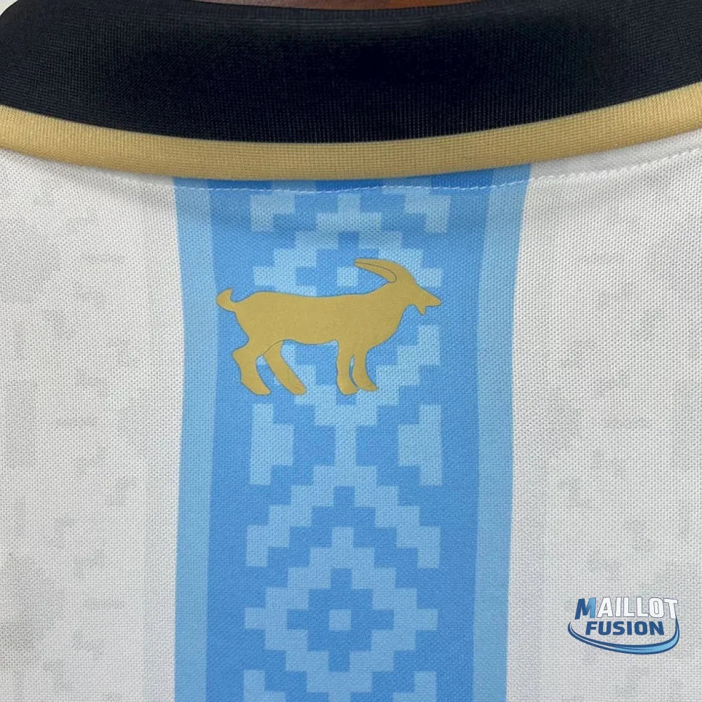 Maillot Argentine Foot 2025 2026 concept