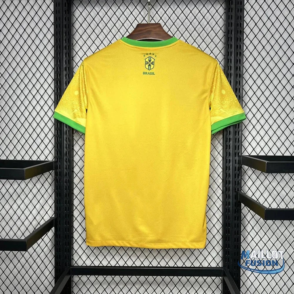 Maillot Brésil foot concept 2024 2025