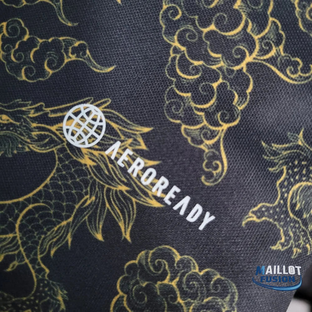 Maillot Japon concept 2023 2024 Dragon