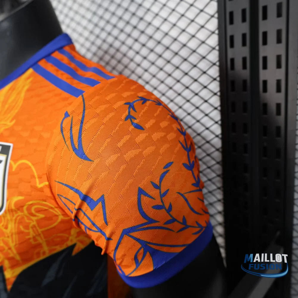 Maillot Japon concept 2025-26