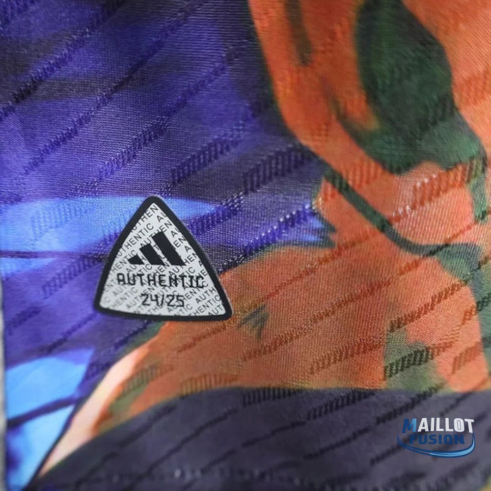 Maillot Japon X Broli 2024/2025