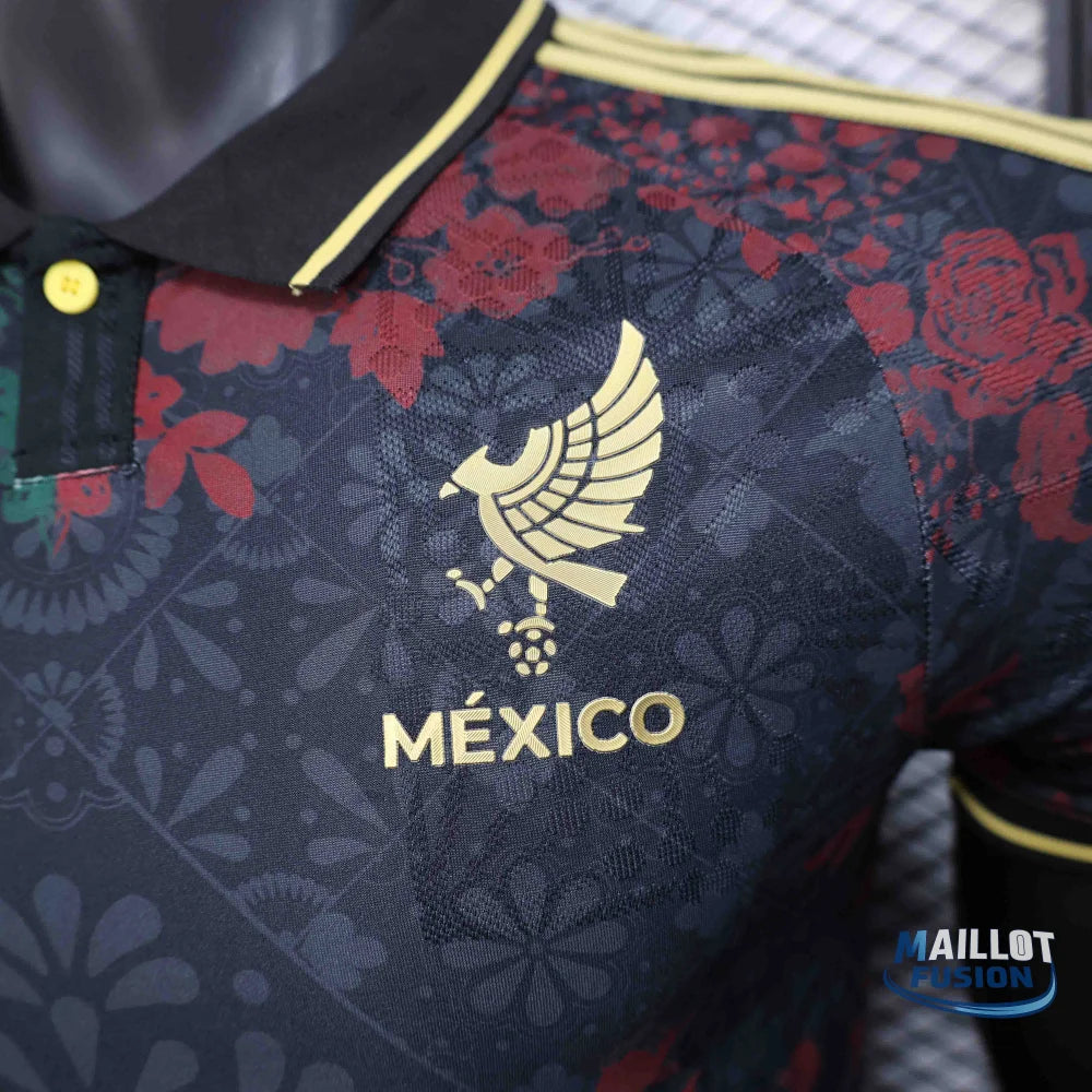 Maillot Mexique concept 2025