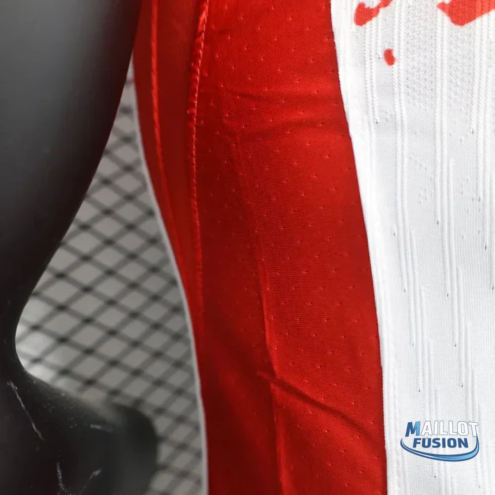 Maillot Paris foot concept 2024 2025