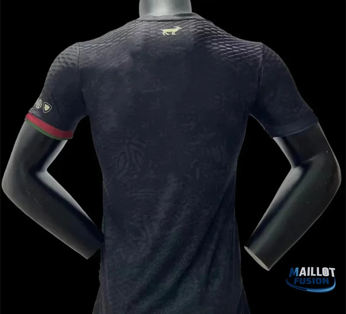 Maillot Portugal Saison 2023-2024 édition limitée Player