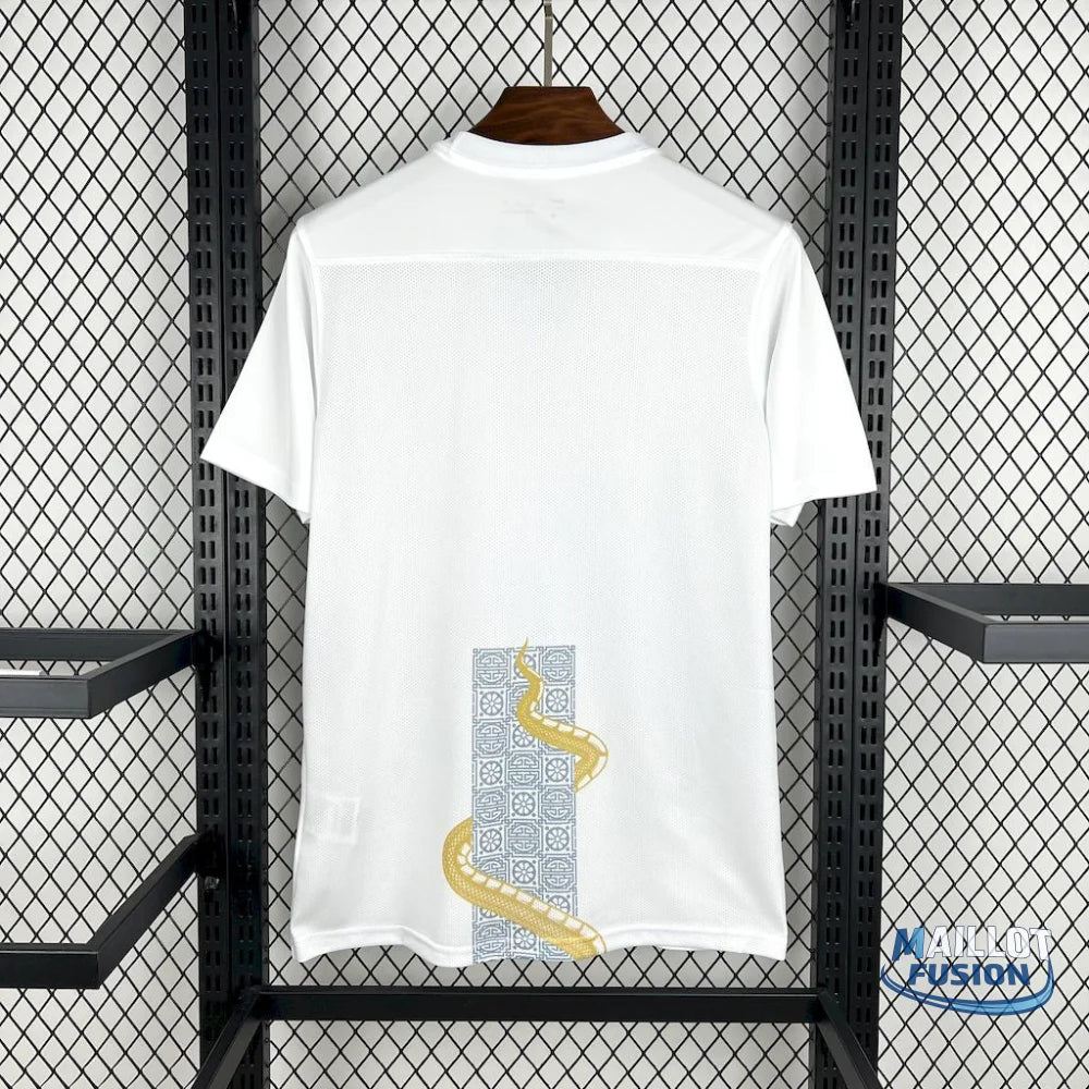 Maillot Tottenham concept 2025-26