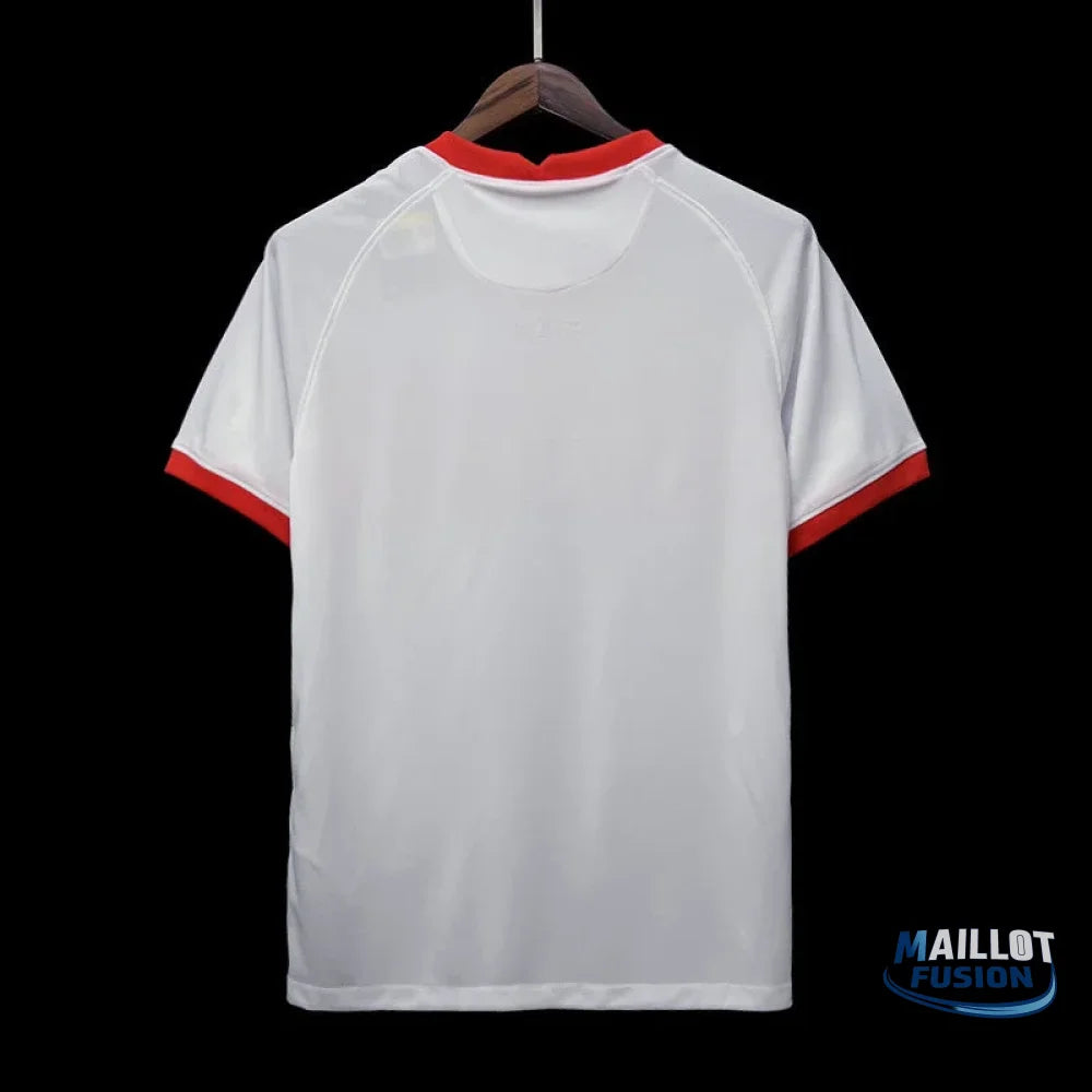 MAILLOT TURQUIE EXTÉRIEUR 2024/25