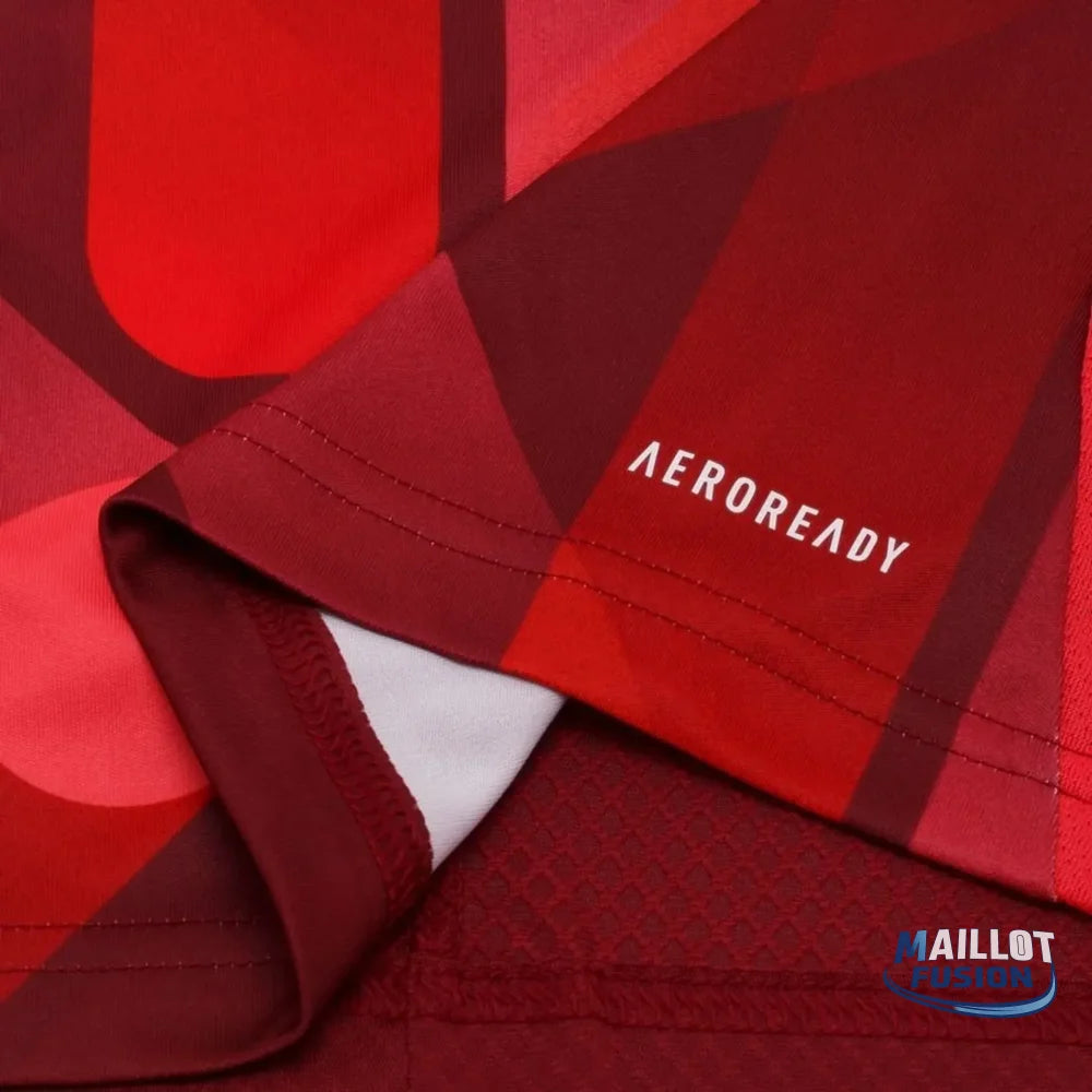 Allemagne Maillot Extérieur EURO 2025