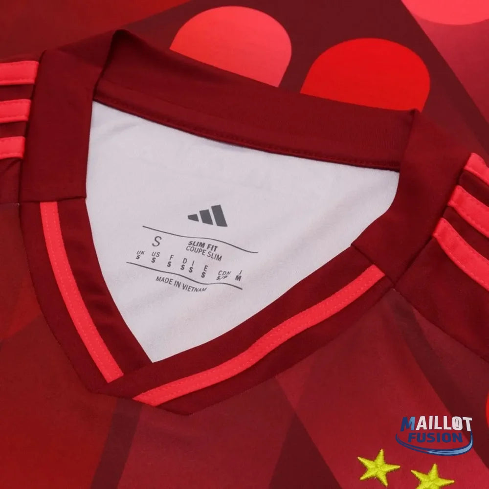 Allemagne Maillot Extérieur EURO 2025