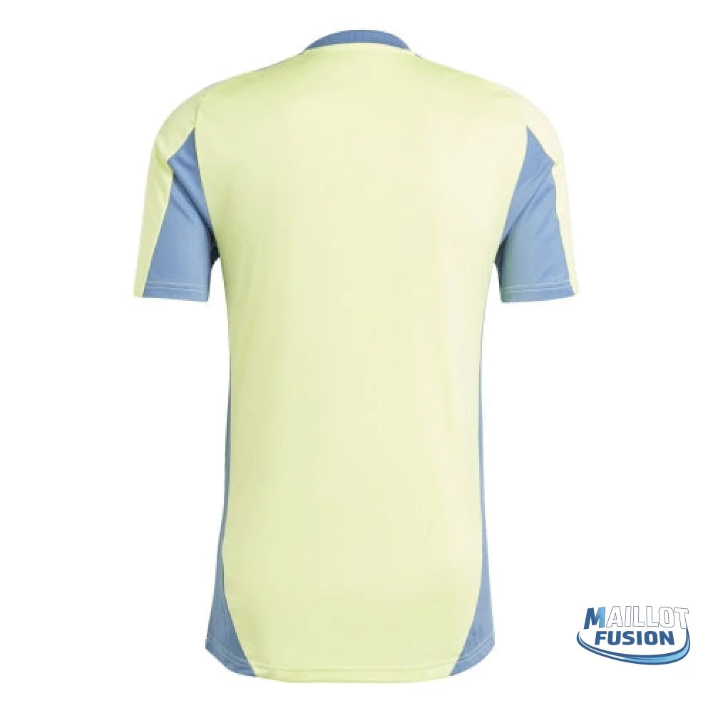 Maillot Ajax 2024/2025