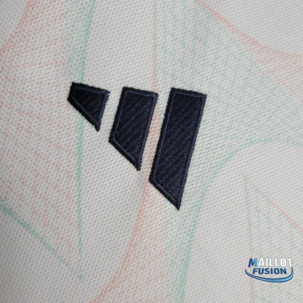 Maillot Ajax saison 2023-2024 extérieur