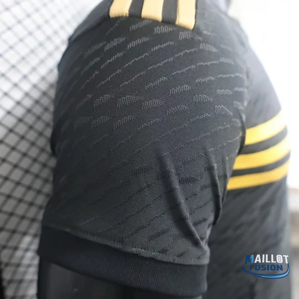 Maillot Argentine foot 2024 2025 concept