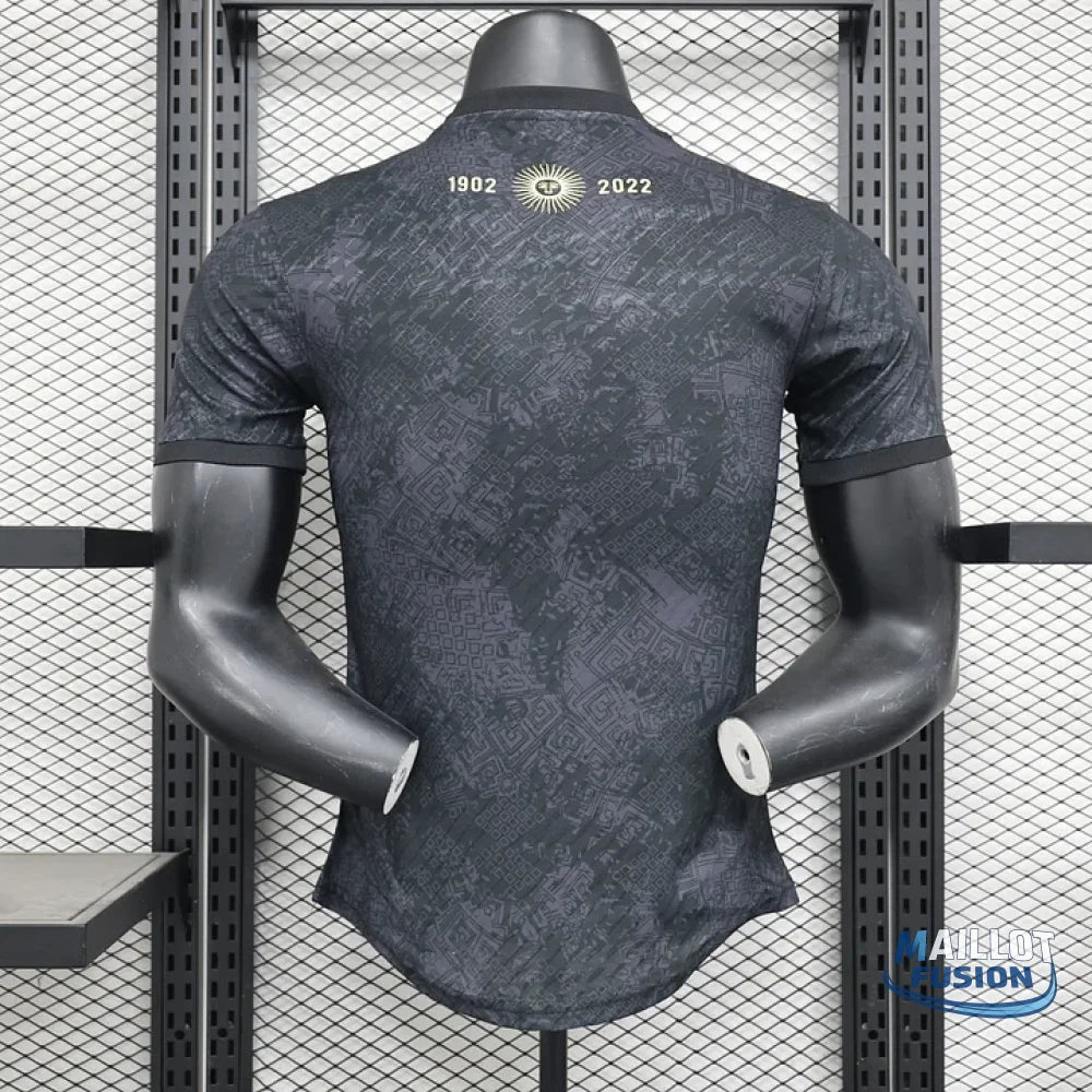 Maillot Argentine foot concept 2024 2025