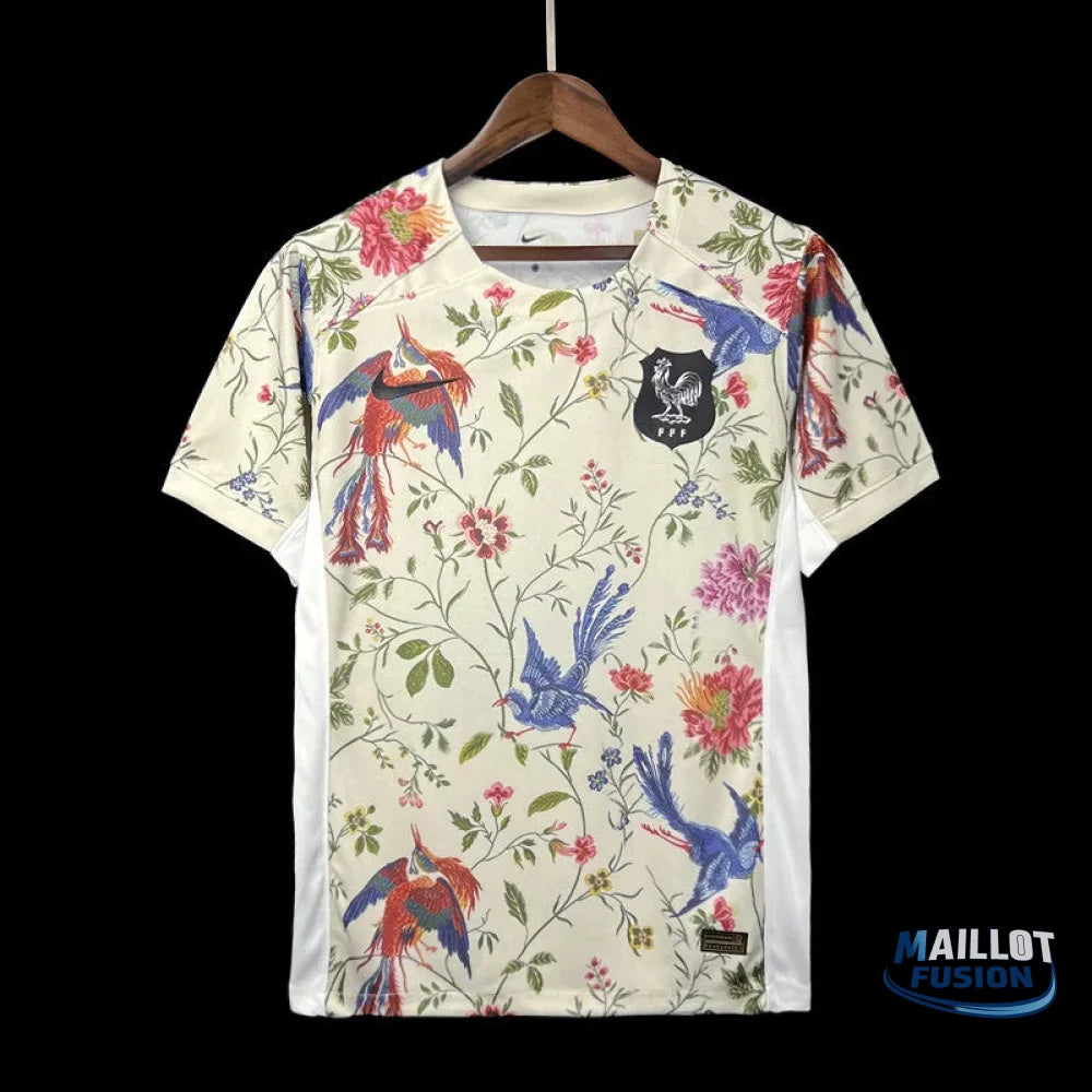 Maillot Équipe de France maillot foot concept 2023 2024