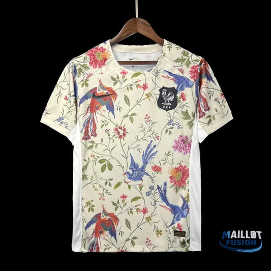 Maillot Équipe de France maillot foot concept 2023 2024