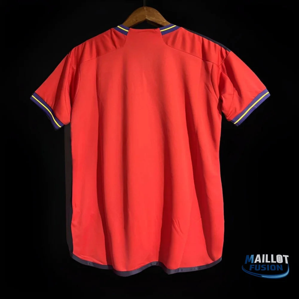 MAILLOT ESPAGNE DOMICILE 2024/25