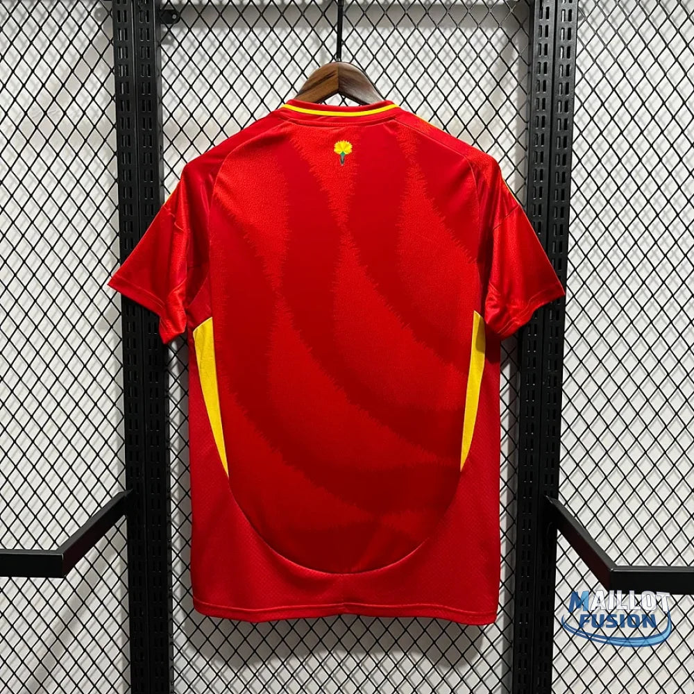 MAILLOT ESPAGNE DOMICILE 2024/25