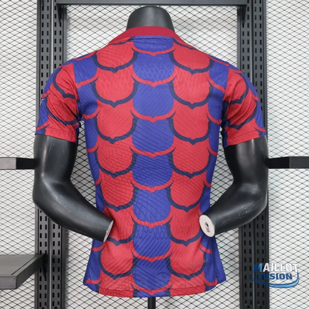 Maillot foot FC Barcelone 2024 2025 Pre-Match