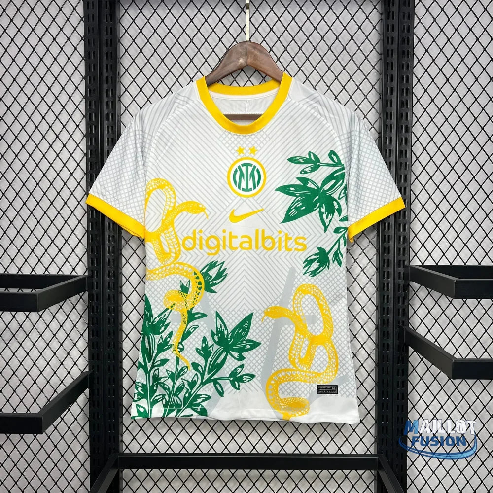 Maillot Inter Milan foot 2024 2025 concept