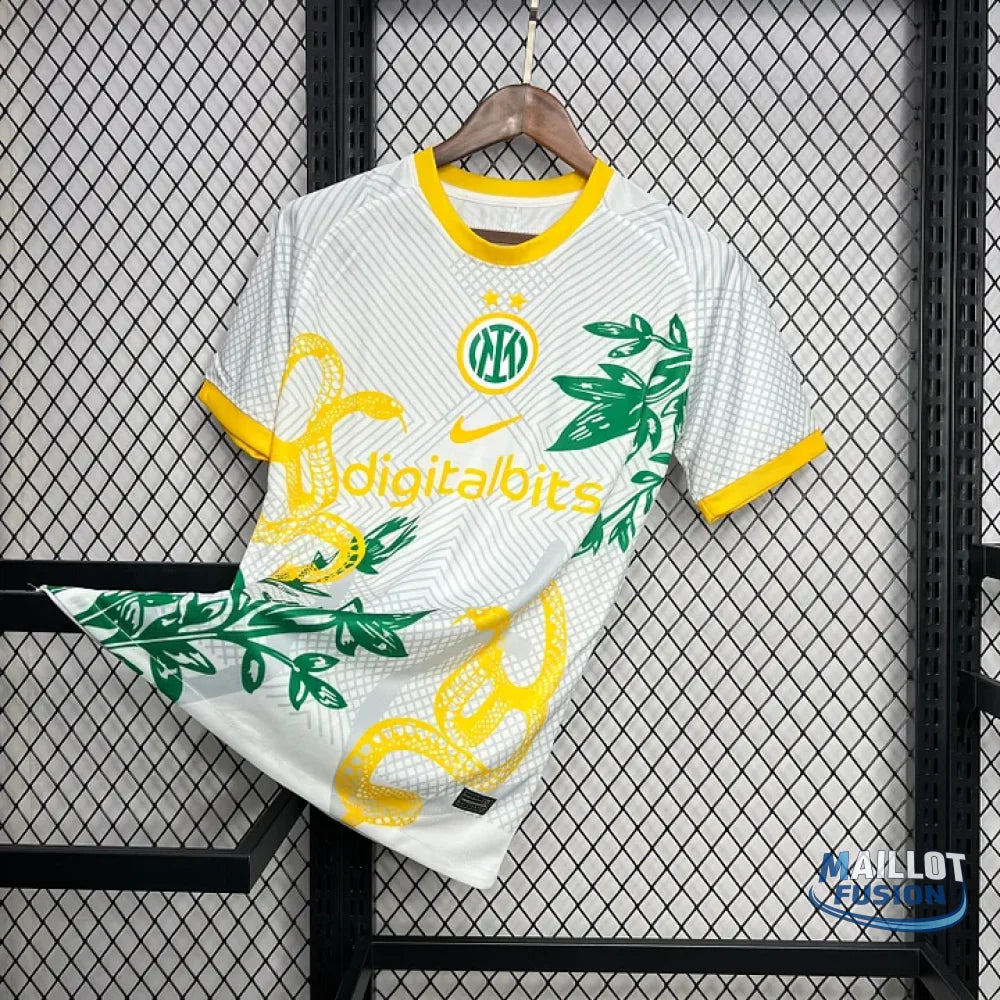 Maillot Inter Milan foot 2024 2025 concept