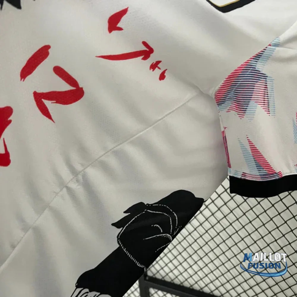 MAILLOT JAPON CONCEPT ZORO ONE PIECE 2023/24