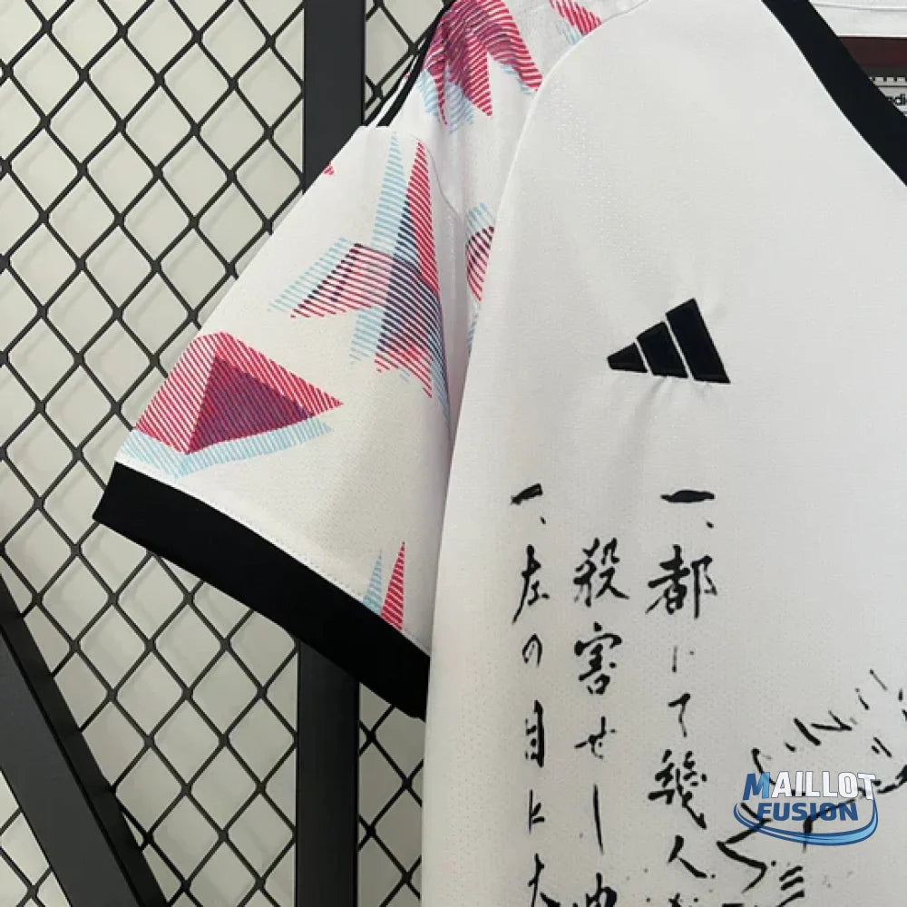 MAILLOT JAPON CONCEPT ZORO ONE PIECE 2023/24