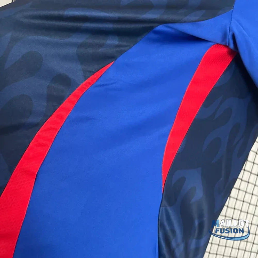 Maillot Japon Domicile 2024/2025