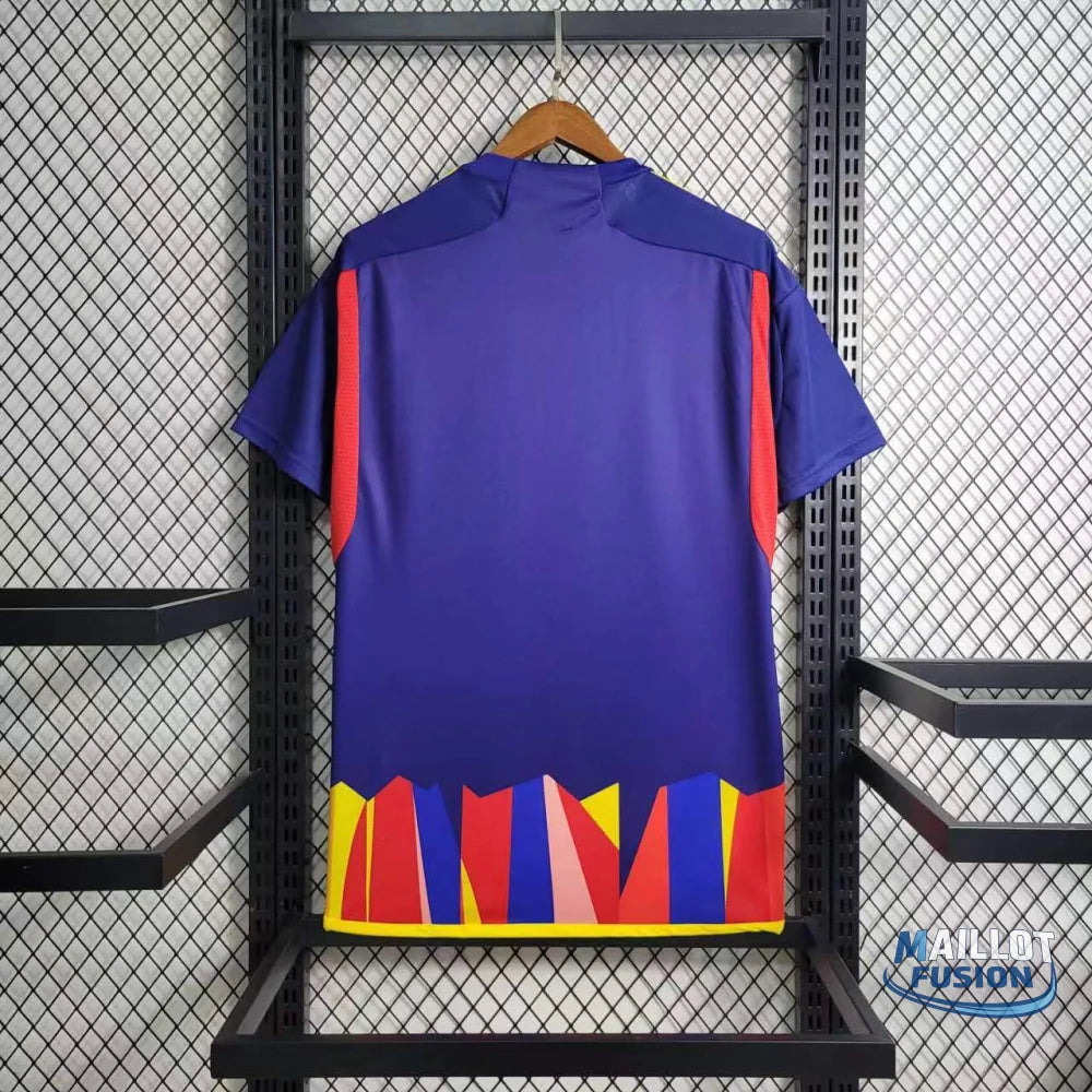 Maillot Lyon Concept 2023-24