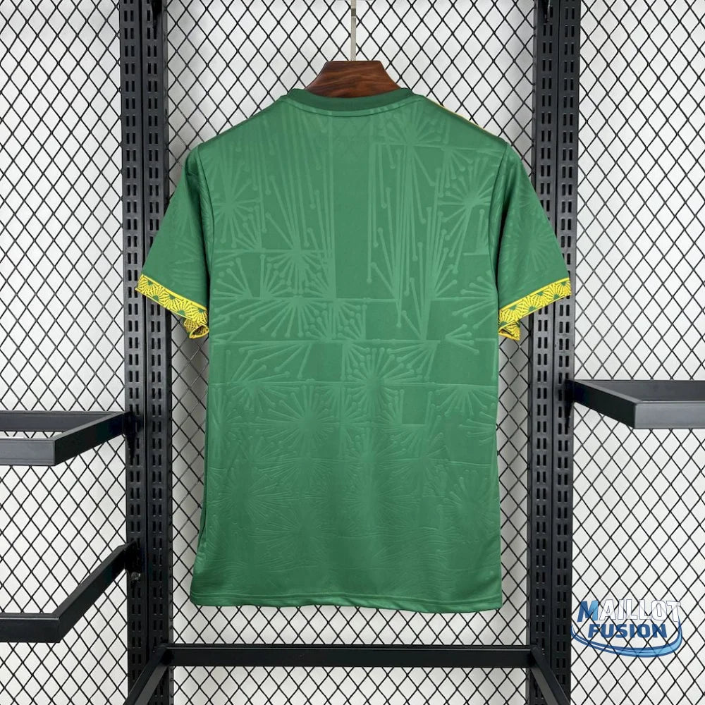 Maillot Mexique concept 2025