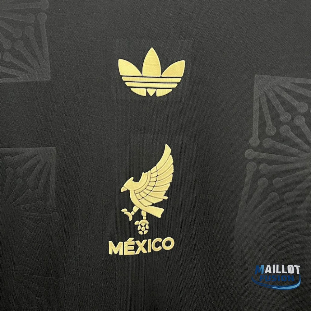 Maillot Mexique concept manches longues 2025