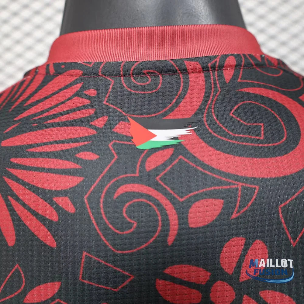 Maillot Palestine concept 2025-26