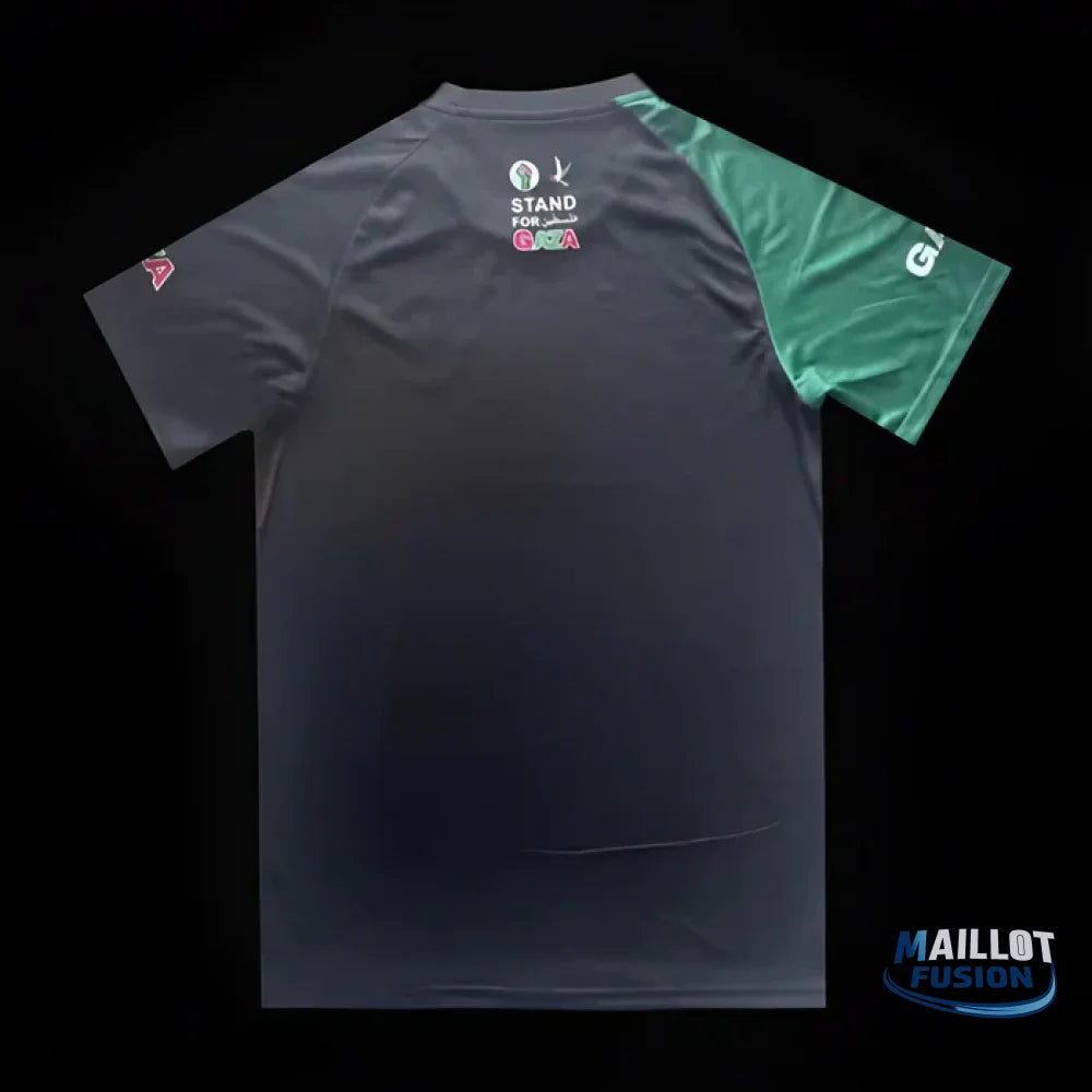 Maillot Palestine saison 2023-2024 édition spéciale Stand for Gaza