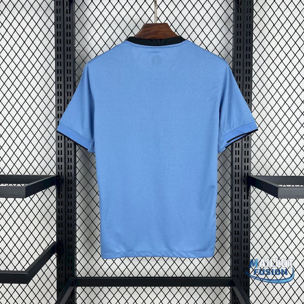 Maillot Pays-Bas extérieur 2025-26