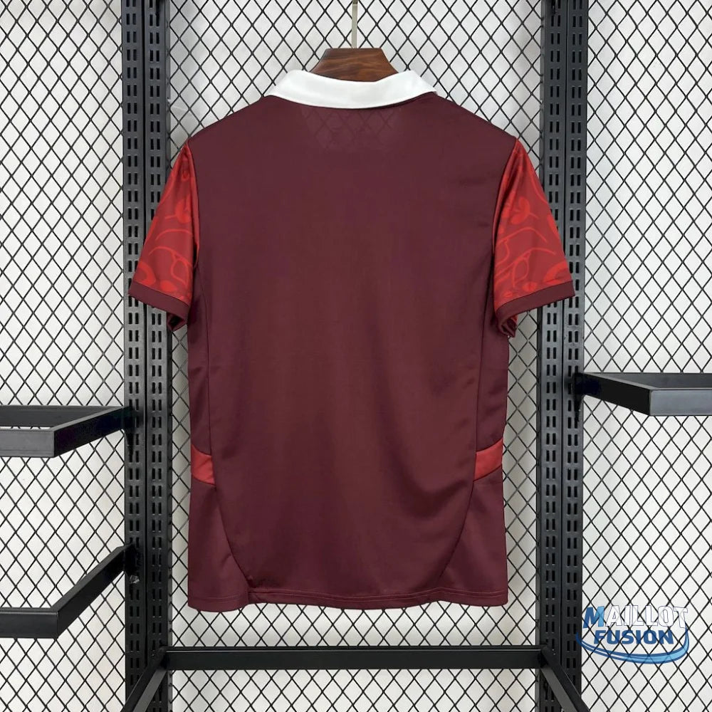 Maillot Portugal entrainement 2025-26