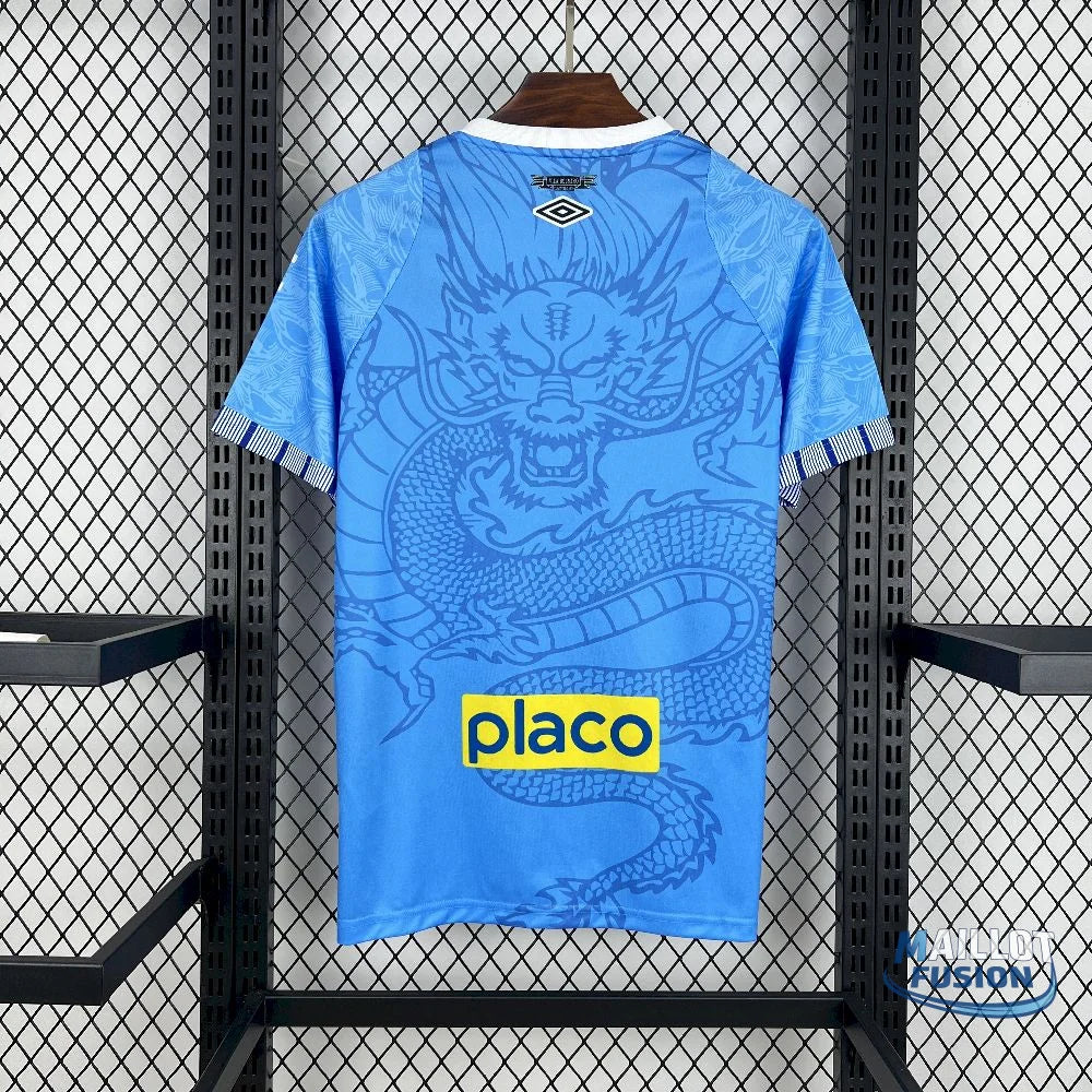 Maillot Santos concept 2025-26